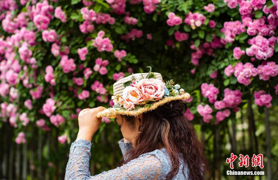 China: flores de verão florescem em todo o país