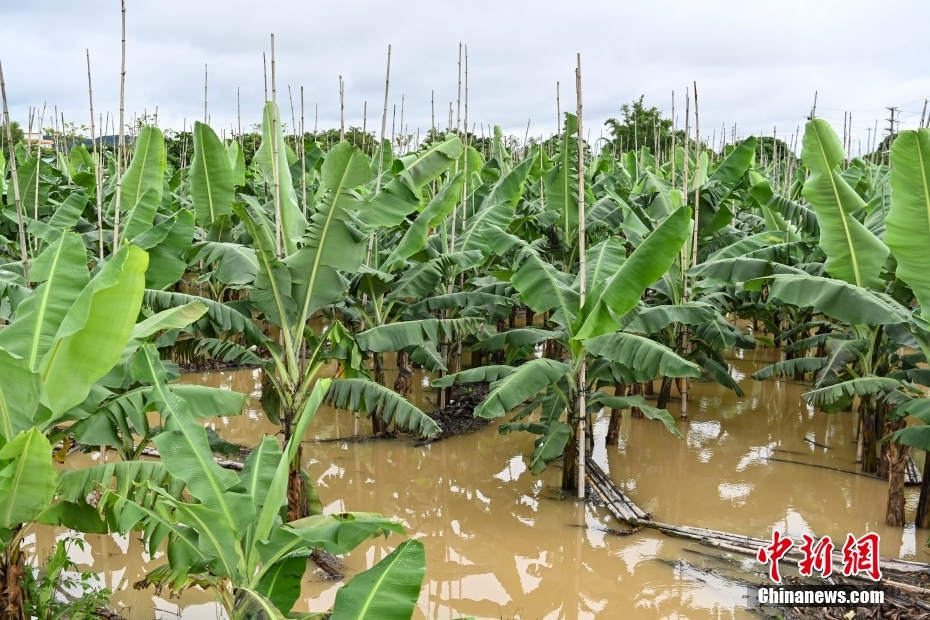 Guangdong registra grande possibilidade de tempestades intensas