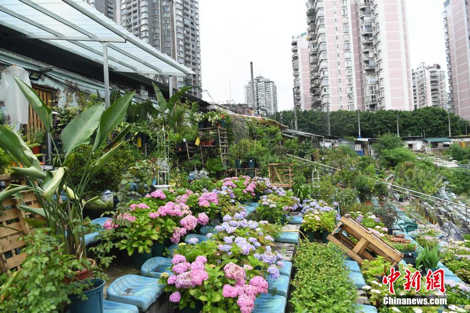 Estádio abandonado em Chongqing convertido em 