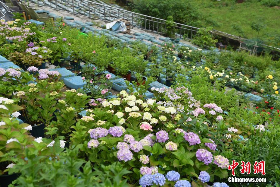 Estádio abandonado em Chongqing convertido em 