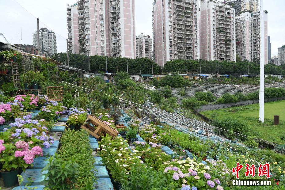 Estádio abandonado em Chongqing convertido em 