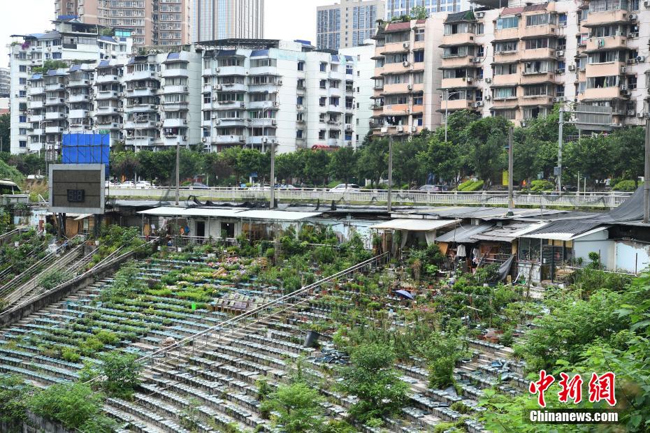 Estádio abandonado em Chongqing convertido em 