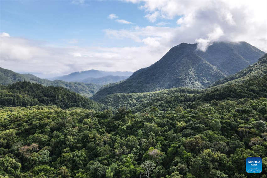 Galeria: Wuzhishan, Parque Nacional da Floresta Tropical de Hainan