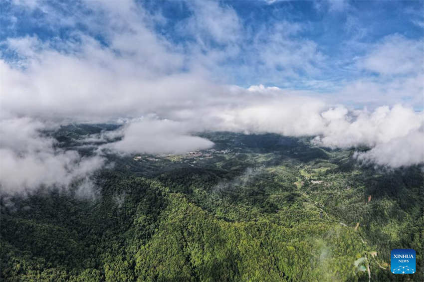 Galeria: Wuzhishan, Parque Nacional da Floresta Tropical de Hainan