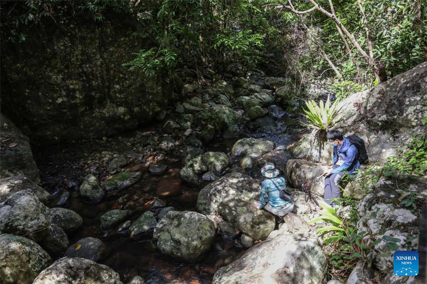 Galeria: Wuzhishan, Parque Nacional da Floresta Tropical de Hainan