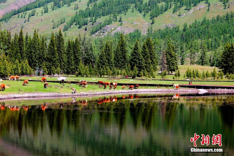 Galeria: pitoresco cenário de Kanas em Xinjiang