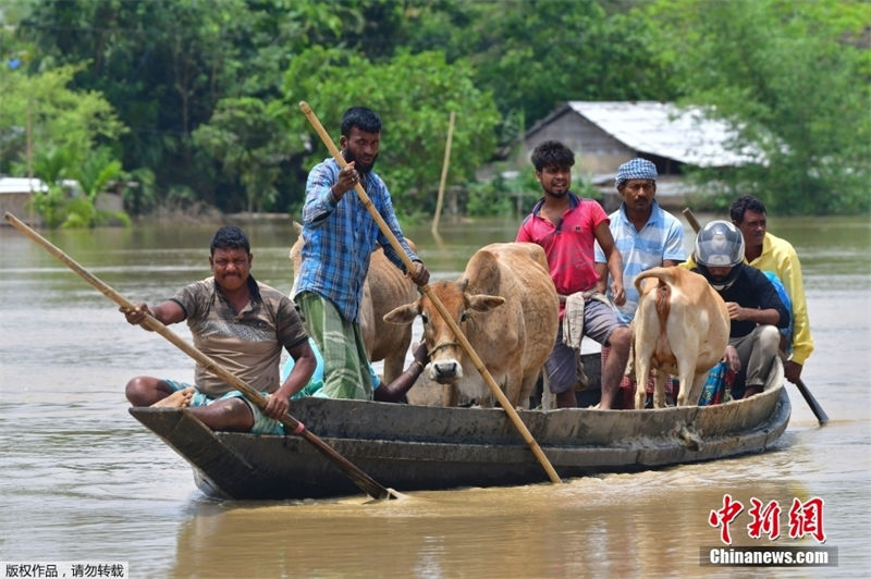 Índia: inundações causam mais de 800 mil desabrigados no estado de Assam