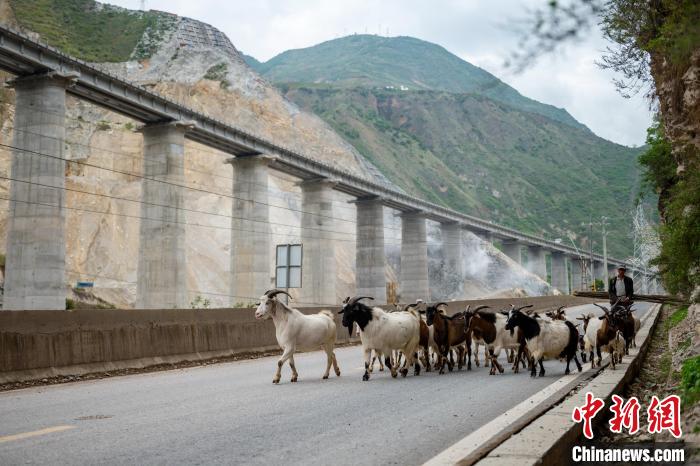 Galeria: construção da secção Emei-Mianning da ferrovia Chengdu-Kunming