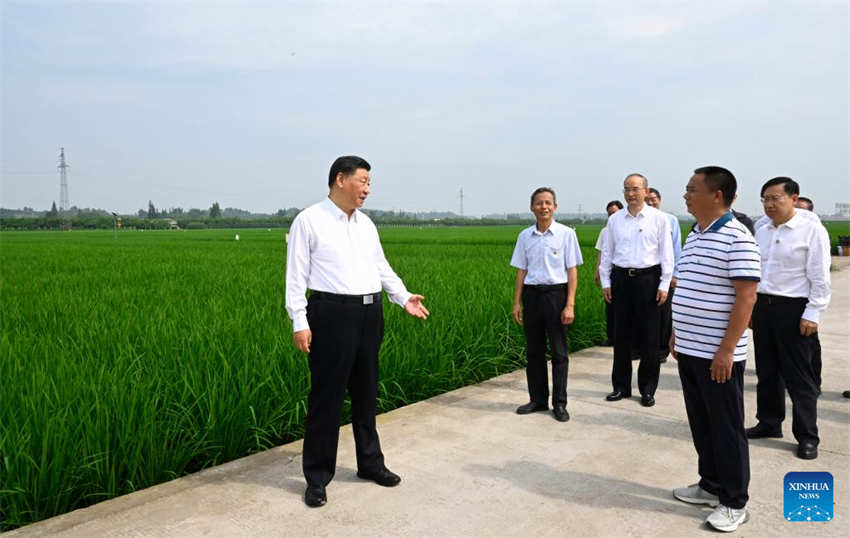 Xi Jinping inspeciona cidade de Meishan, sudoeste da China