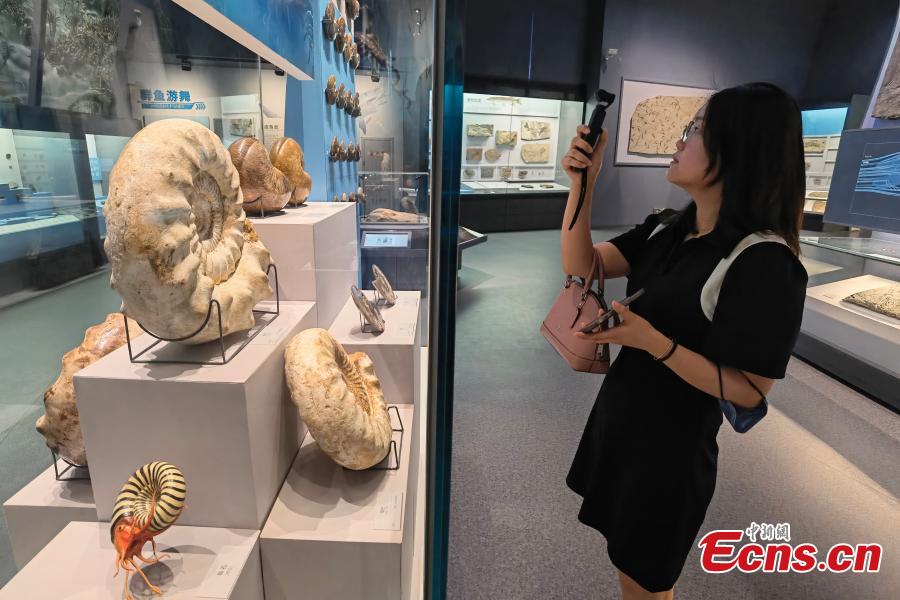 Museu de História Natural de Chengdu prestes a abrir