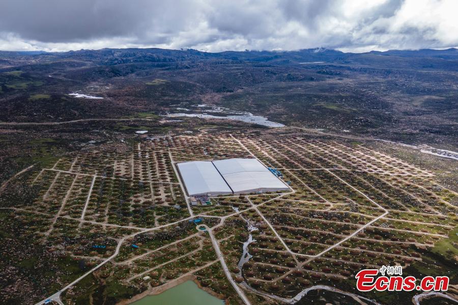 Galeria: observatório de raios cósmicos em Sichuan