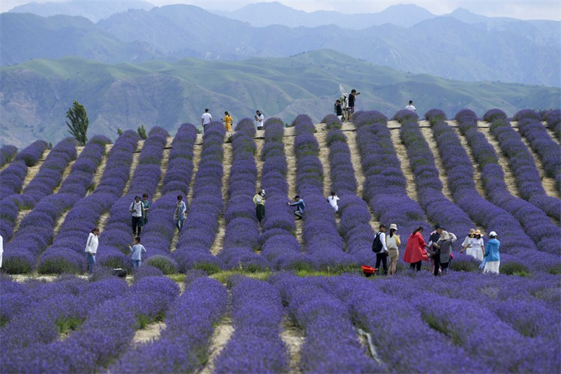 Ressurgimento do turismo revela Xinjiang estável e aberta