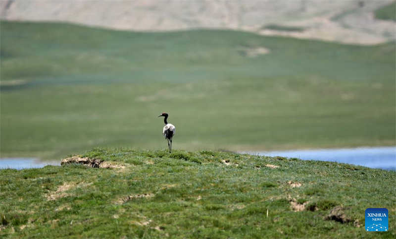 China: panorama de Sanjiangyuan, Qinghai 