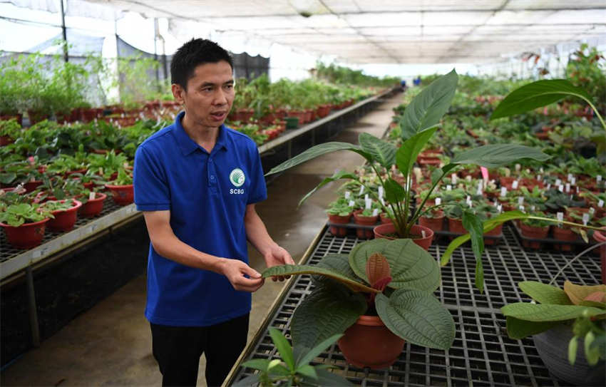 Segundo jardim botânico nacional da China é inaugurado em Guangzhou