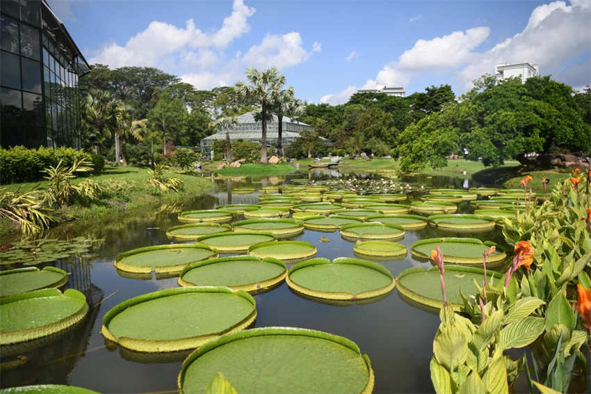 Segundo jardim botânico nacional da China é inaugurado em Guangzhou