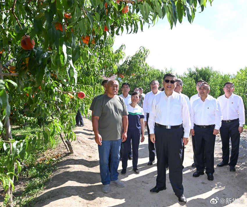 Xi Jinping inspeciona cidade de Shihezi em Xinjiang