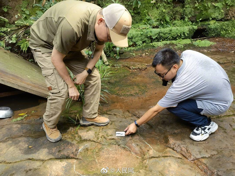 Identificadas pegadas do dinossauro em restaurante de Sichuan