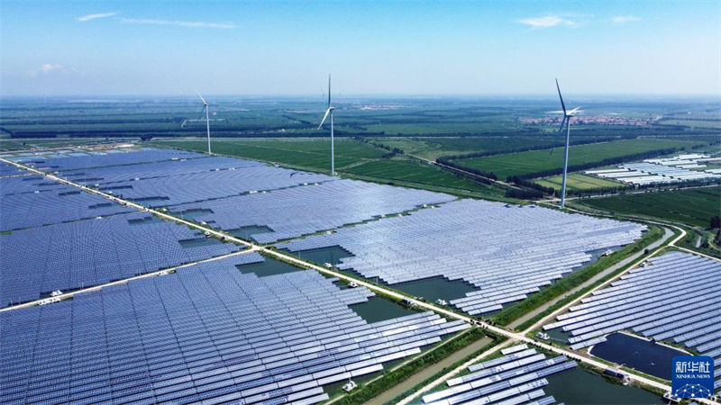Tianjin: agricultura ecológica beneficia aldeões