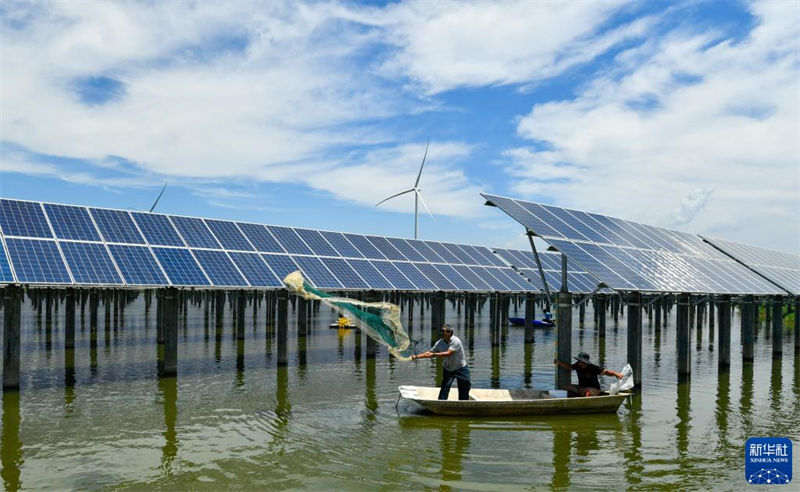 Tianjin: agricultura ecológica beneficia aldeões