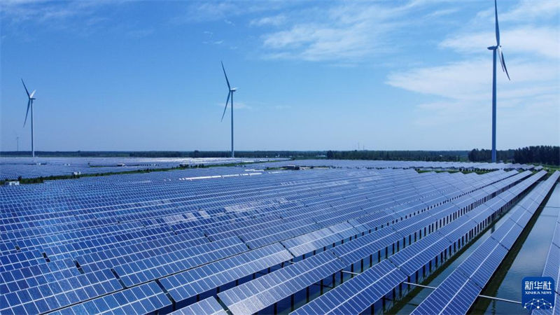 Tianjin: agricultura ecológica beneficia aldeões