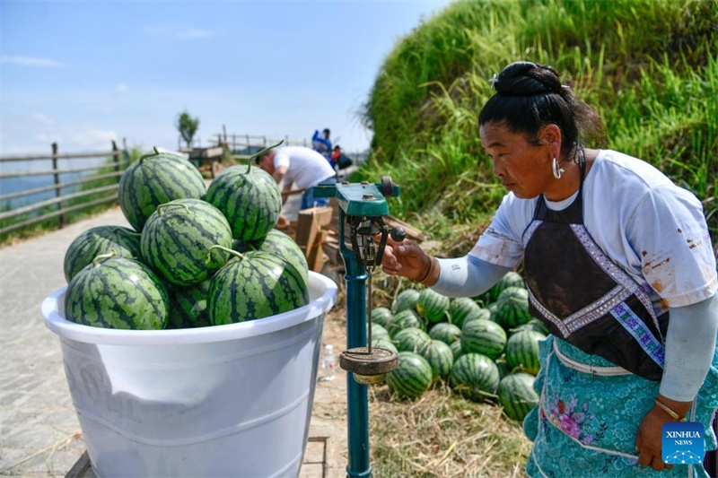 Guizhou: vendas de melancia aumentam renda dos moradores 