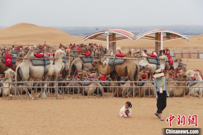 Ningxia inicia temporada dourada de turismo do verão