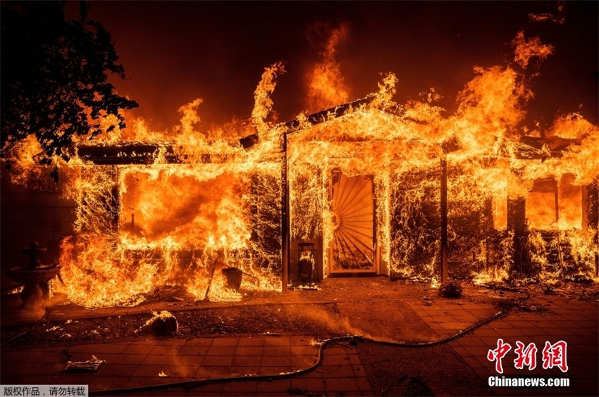 EUA: incêndio florestal na Califórnia queima 63 quilômetros quadrados em 3 dias