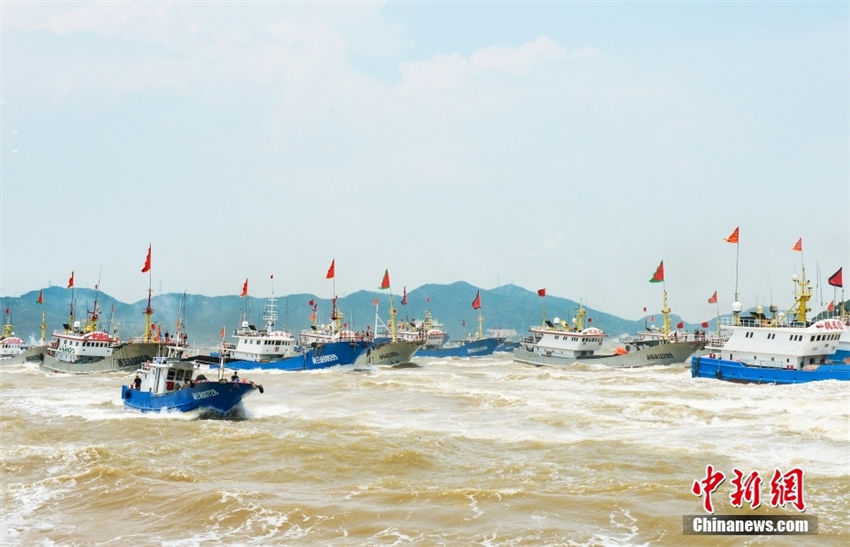 Zhejiang: proibição de pesca marítima no verão é terminada no Mar da China Oriental