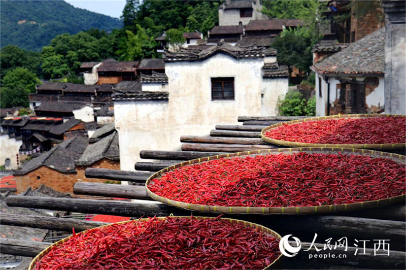 Jiangxi: moradores em Wuyuan secam cereais colhidos