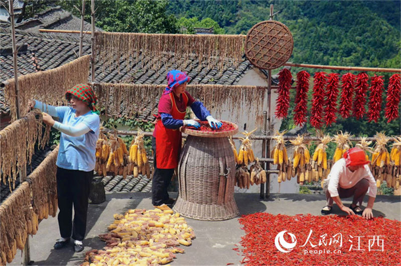 Jiangxi: moradores em Wuyuan secam cereais colhidos