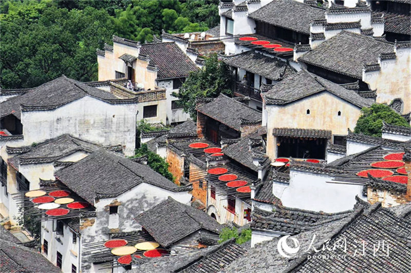 Jiangxi: moradores em Wuyuan secam cereais colhidos