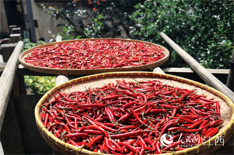 Jiangxi: moradores em Wuyuan secam cereais colhidos