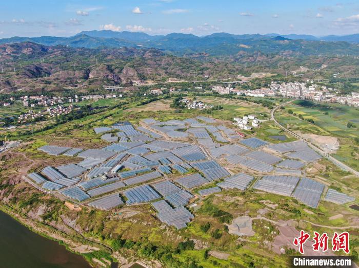 Galeria: milhares de base vegetal de estufa no leste da China