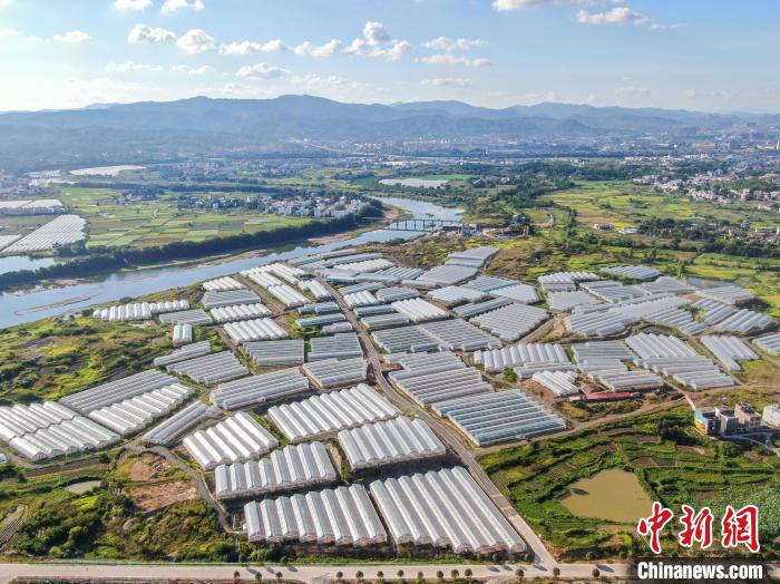 Galeria: milhares de base vegetal de estufa no leste da China