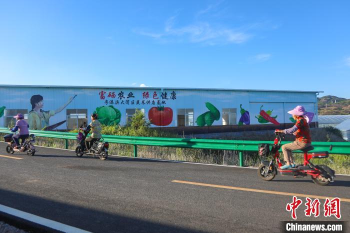 Galeria: milhares de base vegetal de estufa no leste da China