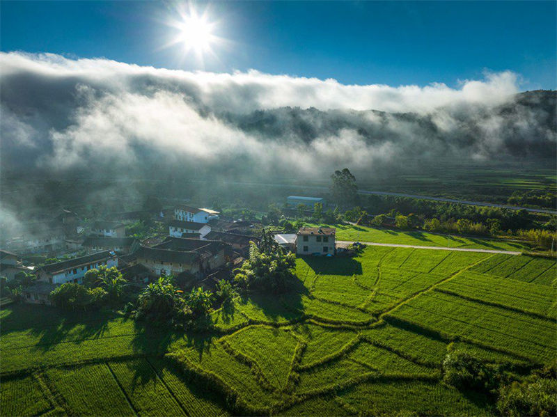 Galeria: vista magnífica de Tulou em Fujian