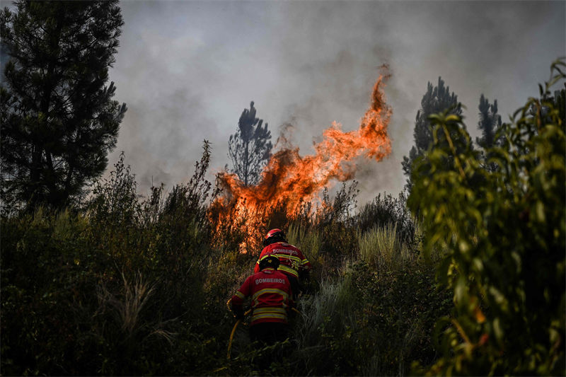 Portugal: incêndio nas montanha devasta cerca de 15 mil hectares de terra