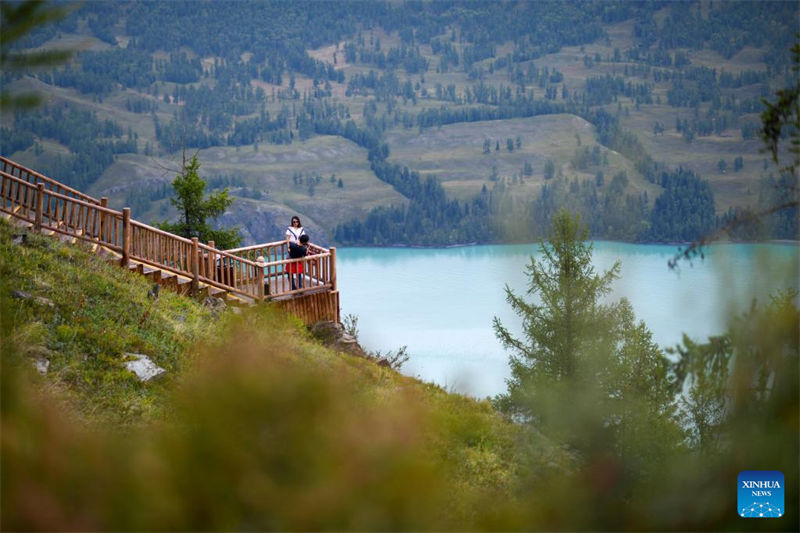 Galeria: cenário de outono de Kanas em Xinjiang