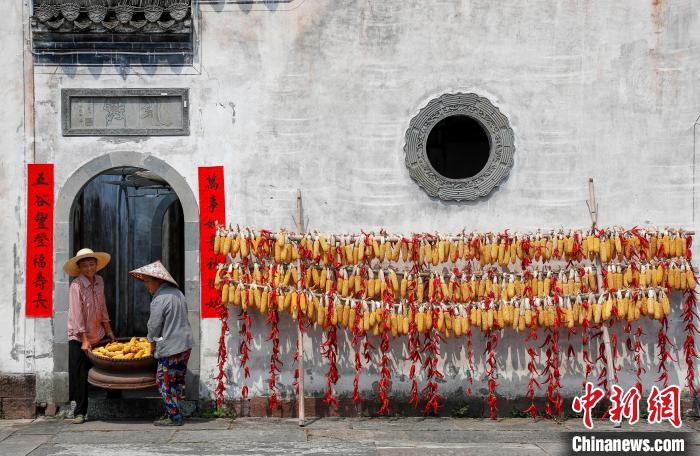 Anhui: antiga aldeia recebe boa colheita