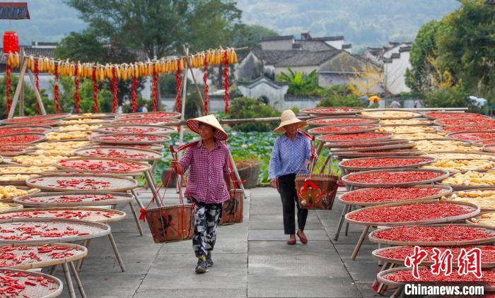 Anhui: antiga aldeia recebe boa colheita