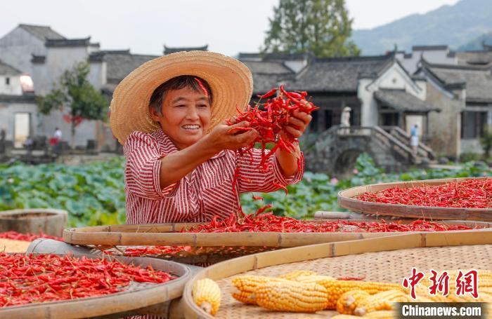 Anhui: antiga aldeia recebe boa colheita