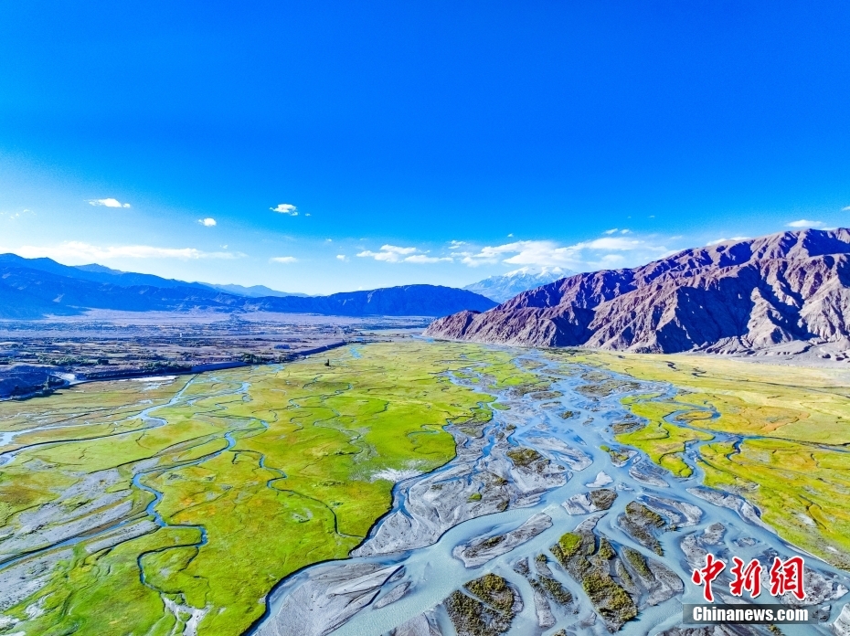 Galeria: bela paisagem do pantanal de Kashgar em Xinjiang