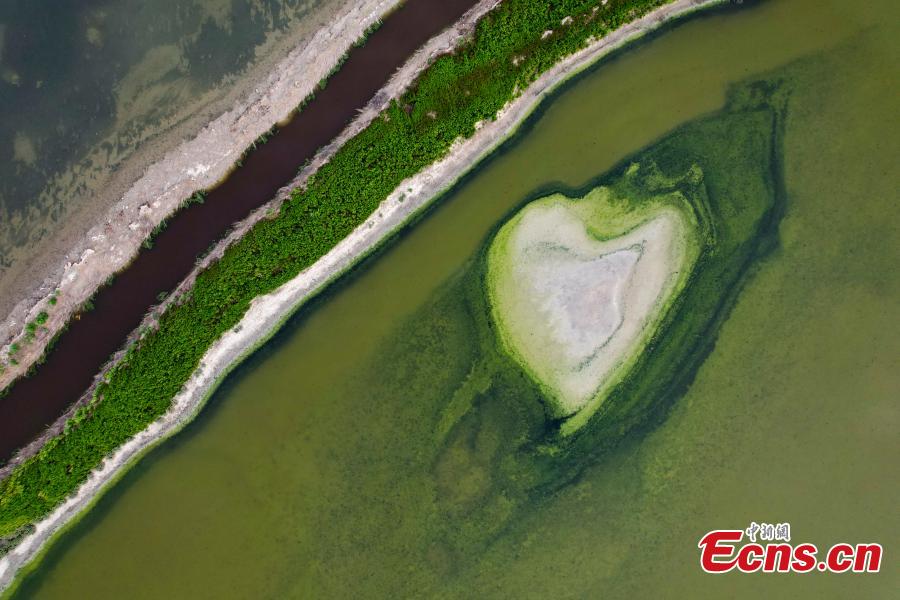 Diferentes formações salinas surgem no “Mar Morto” da China  