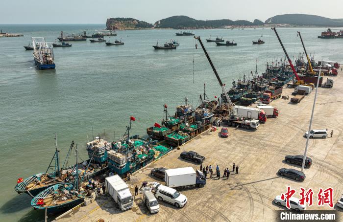 Shandong recebe boa colheita de peixes durante temporada de pesca