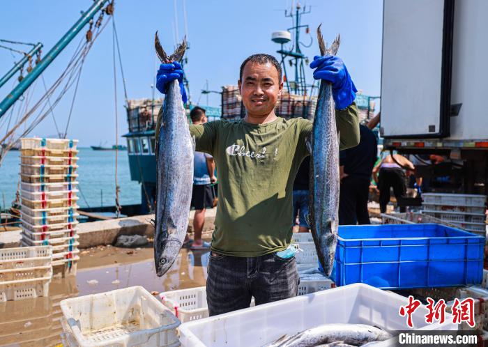 Shandong recebe boa colheita de peixes durante temporada de pesca