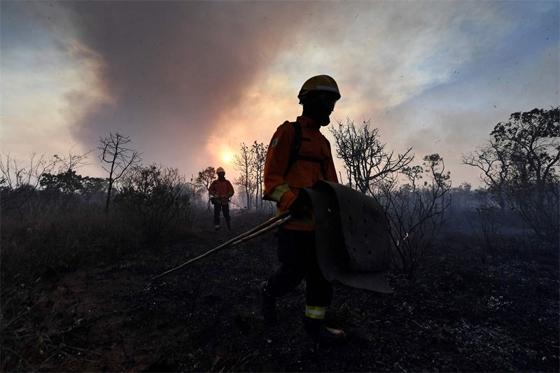 Brasil: incêndio atinge Parque Nacional de Brasília