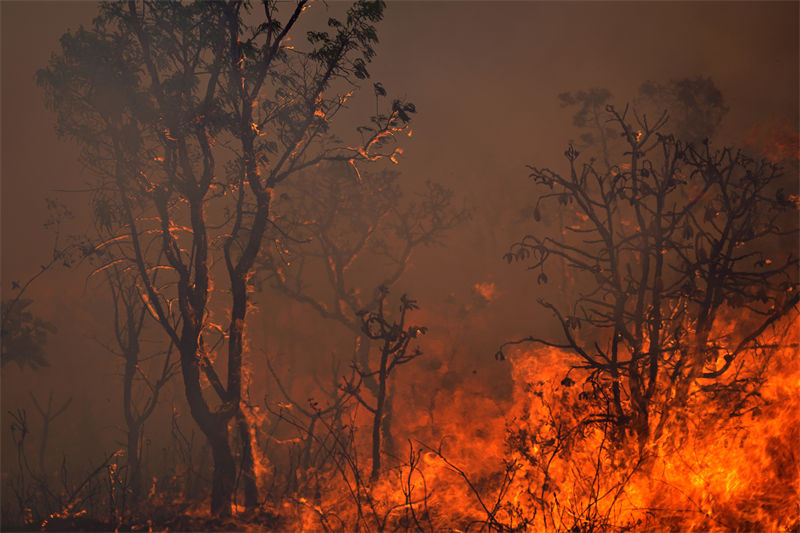 Brasil: incêndio atinge Parque Nacional de Brasília