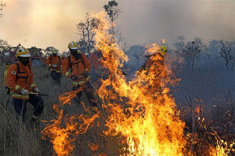 Brasil: incêndio atinge Parque Nacional de Brasília