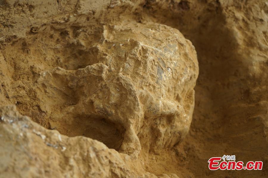 Novo crânio fossilizado do Homem Yunxian foi encontrado no centro da China