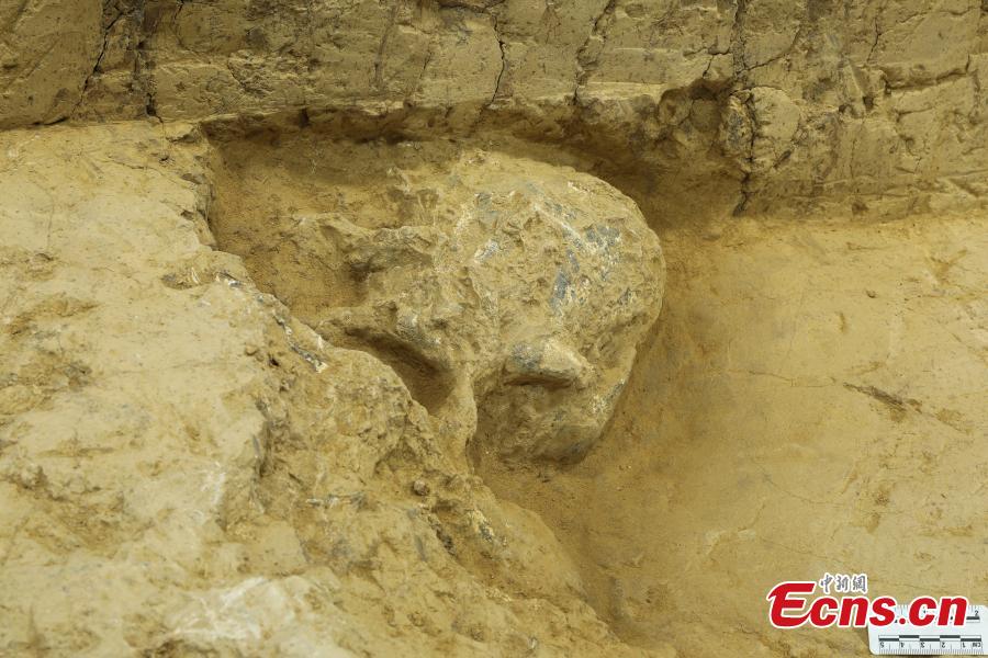 Novo crânio fossilizado do Homem Yunxian foi encontrado no centro da China